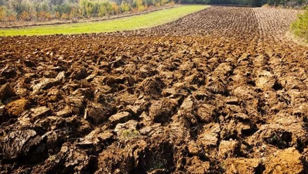 Το έδαφος κινδυνεύει: τα νέα δεδομένα του FAO είναι ανησυχητικά
