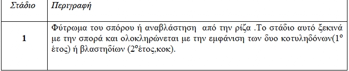 agriagkinara1